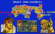 Street Fighter II: The World Warrior