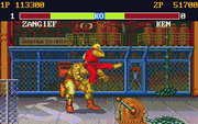 Street Fighter II: The World Warrior