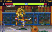 Street Fighter II: The World Warrior