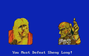 Street Fighter II: The World Warrior