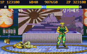 Street Fighter II: The World Warrior