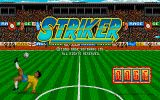 [Скриншот: Striker]