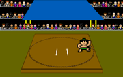 Sumo Wrestling
