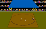 [Скриншот: Sumo Wrestling]