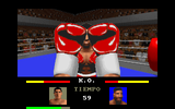 [Super Boxing - скриншот №14]