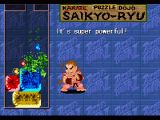 [Super Puzzle Fighter II Turbo - скриншот №2]