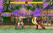 Super Street Fighter II: The New Challengers