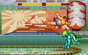 Super Street Fighter II: The New Challengers