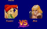 [Super Street Fighter II: The New Challengers - скриншот №5]