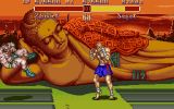 [Скриншот: Super Street Fighter II: The New Challengers]