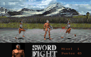 Sword Fight