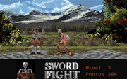 Sword Fight