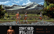 Sword Fight
