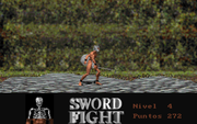Sword Fight