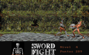 Sword Fight