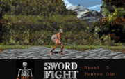 Sword Fight