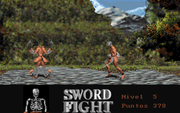 Sword Fight