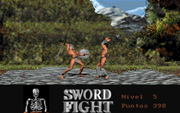 Sword Fight
