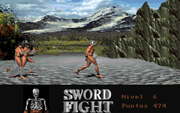 Sword Fight