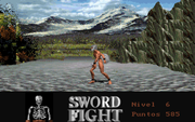 Sword Fight