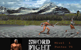 [Sword Fight - скриншот №6]