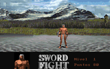 [Sword Fight - скриншот №7]