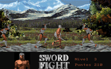 [Sword Fight - скриншот №14]