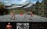 [Sword Fight - скриншот №25]