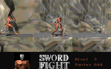 [Sword Fight - скриншот №39]