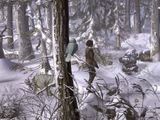 [Syberia II - скриншот №35]