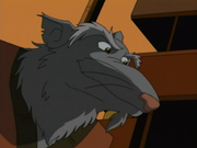 Teenage Mutant Ninja Turtles