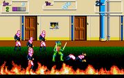 Teenage Mutant Ninja Turtles II: The Arcade Game