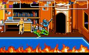 Teenage Mutant Ninja Turtles II: The Arcade Game