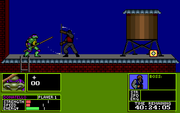 Teenage Mutant Ninja Turtles: Manhattan Missions