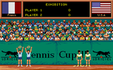 [Tennis Cup II - скриншот №11]