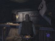 Thief: Deadly Shadows