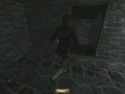 Thief Gold
