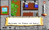 [Times of Lore - скриншот №1]