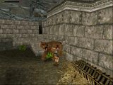 [Tomb Raider - скриншот №7]