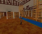 Tomb Raider III: Adventures of Lara Croft