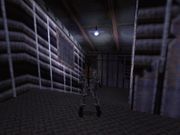 Tomb Raider: Chronicles