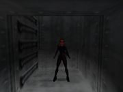 Tomb Raider: Chronicles