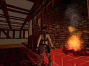 Tomb Raider: The Lost Artifact