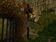 Tomb Raider: The Lost Artifact