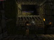 Tomb Raider: The Lost Artifact