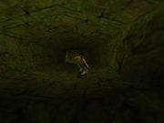 Tomb Raider: The Lost Artifact