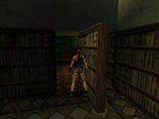 Tomb Raider: The Lost Artifact