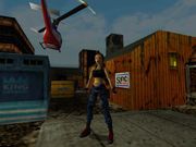 Tomb Raider: The Lost Artifact