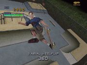 Tony Hawk's Pro Skater 2