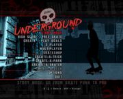 Tony Hawk's Underground